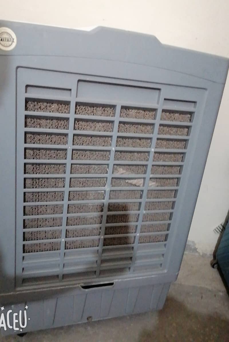 Shaban cooler 2