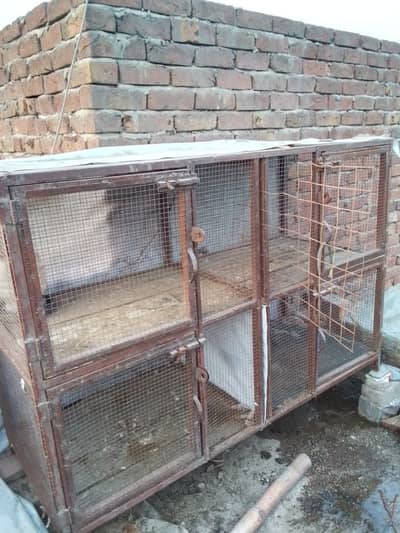 Cage pinjra