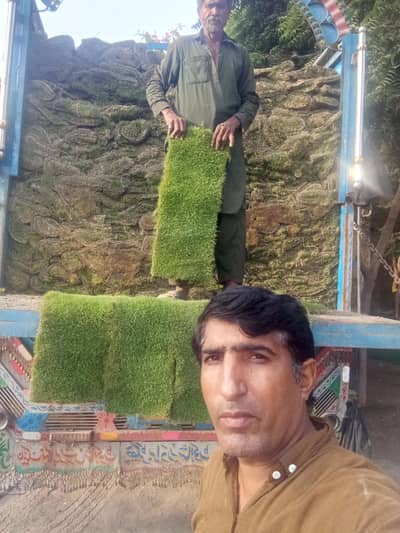 Ramzan nursery grass farm american grass orignal