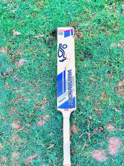 Kookaburra Bat