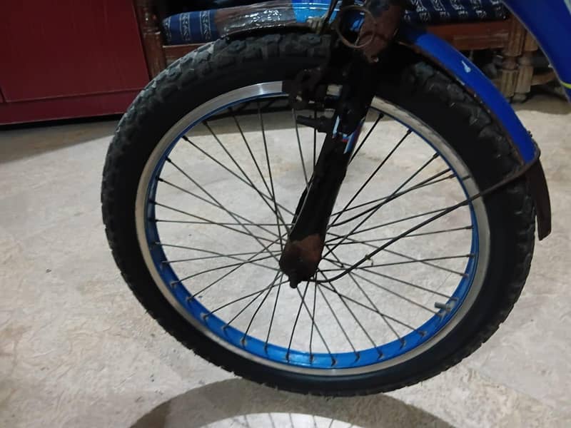 cycle  5