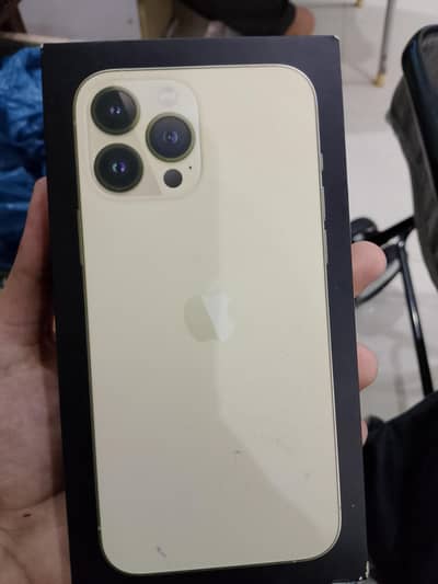 Apple iPhone 13 Pro Max