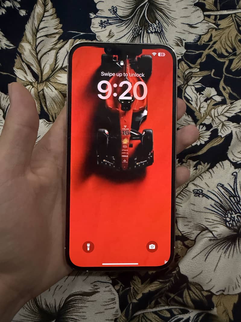 Apple iPhone 13 Pro Max 1