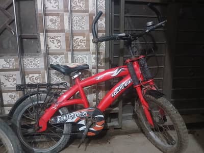 Focus bicycle