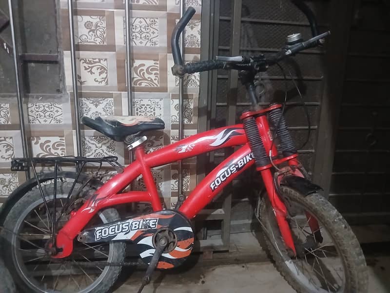Focus bicycle 1