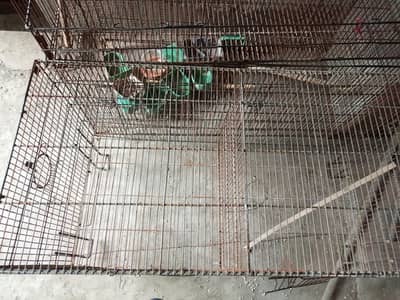 4 Steel Cage