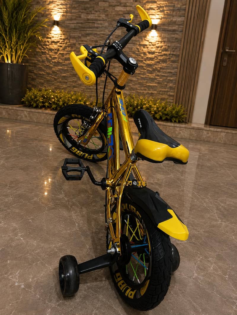 Bicycle 4