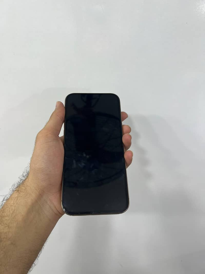 Apple iPhone 16 Pro Max 2