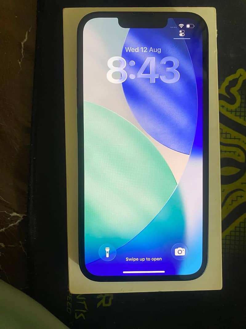 Apple iPhone 13 1