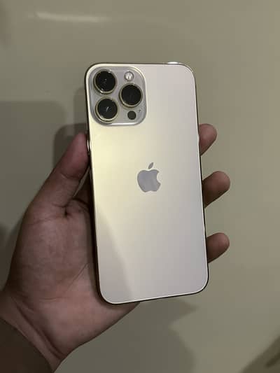 Apple iPhone 13 Pro Max