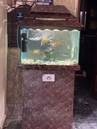 fish aquirium for sale