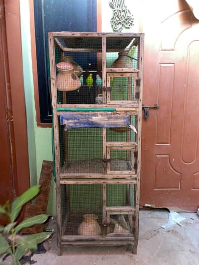 Parrot Cage