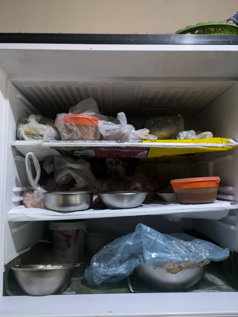 ORIENT REFRIGERATOR 4