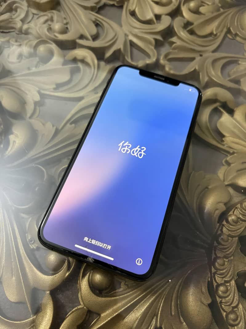 Apple iPhone XS Max 1