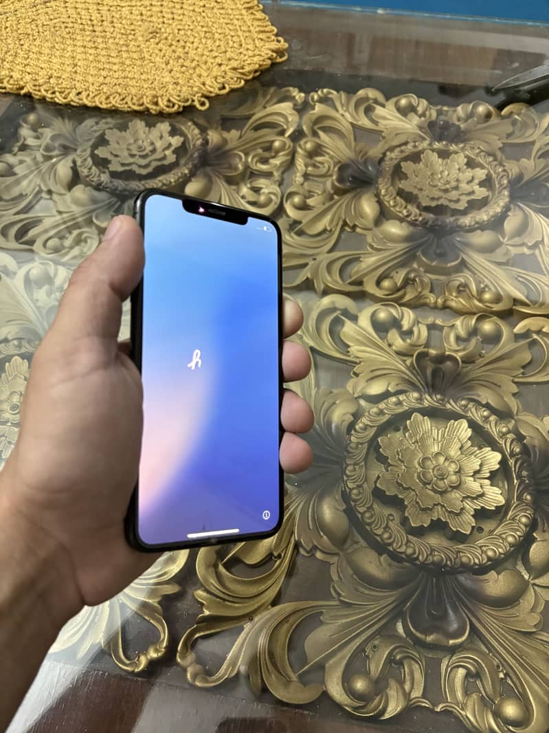 Apple iPhone XS Max 5