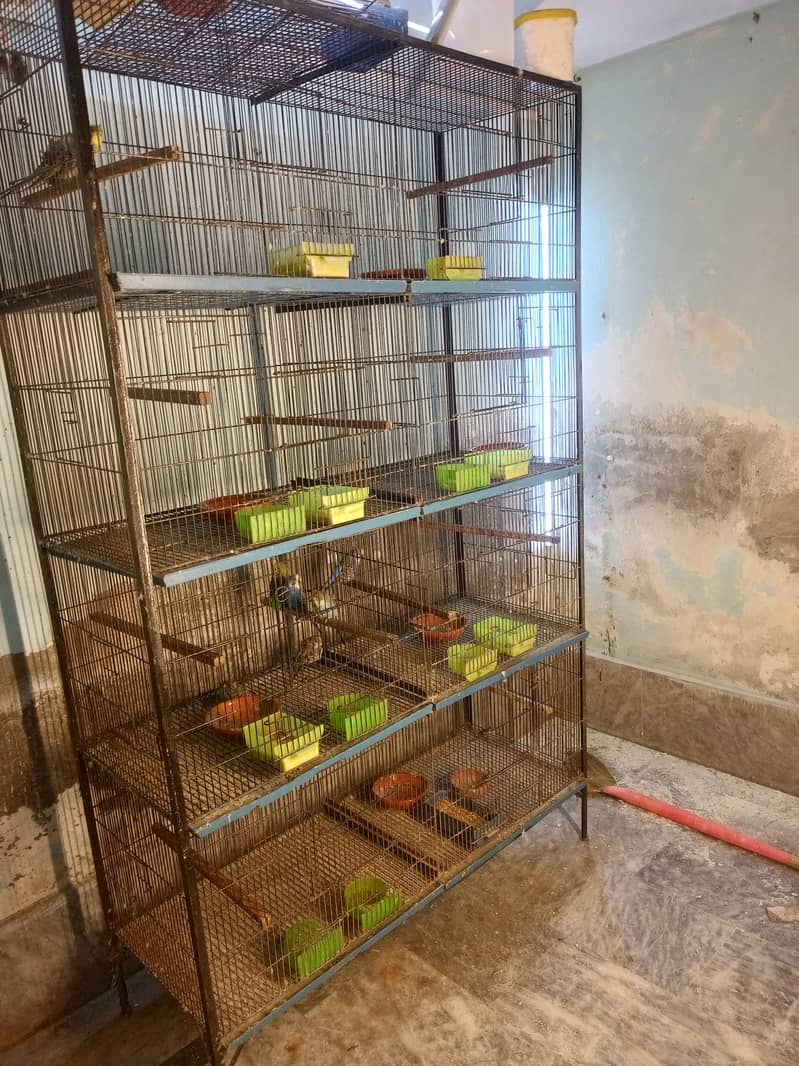 8 portion cage 1