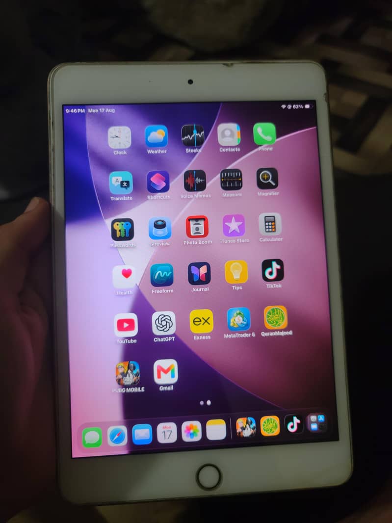 Apple ipad mini5 0