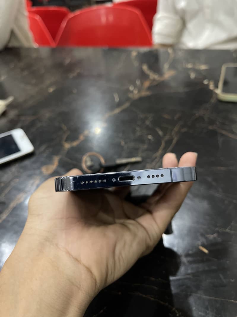 Apple iPhone 13 Pro Max 1