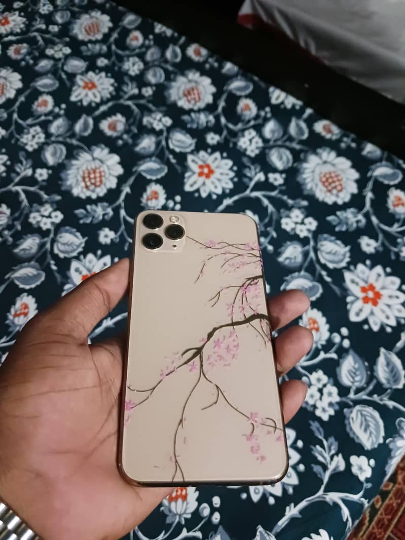 IPhone 11 Pro Max 0