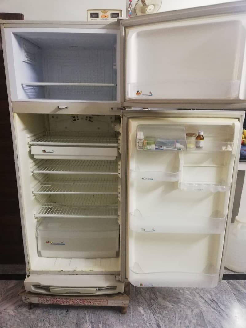 fridge 1