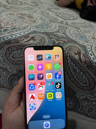 iPhone 12 Pro