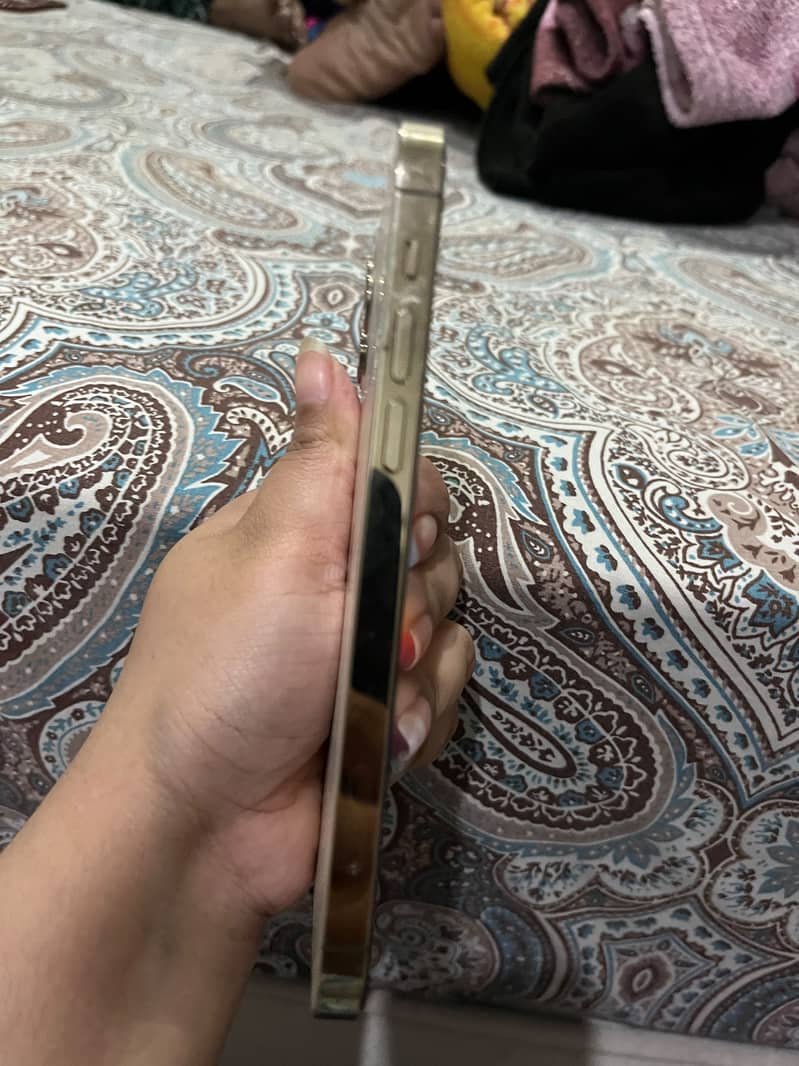 iPhone 12 Pro 2