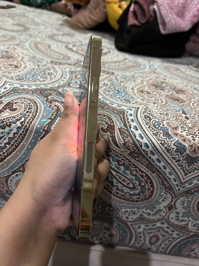 iPhone 12 Pro 3