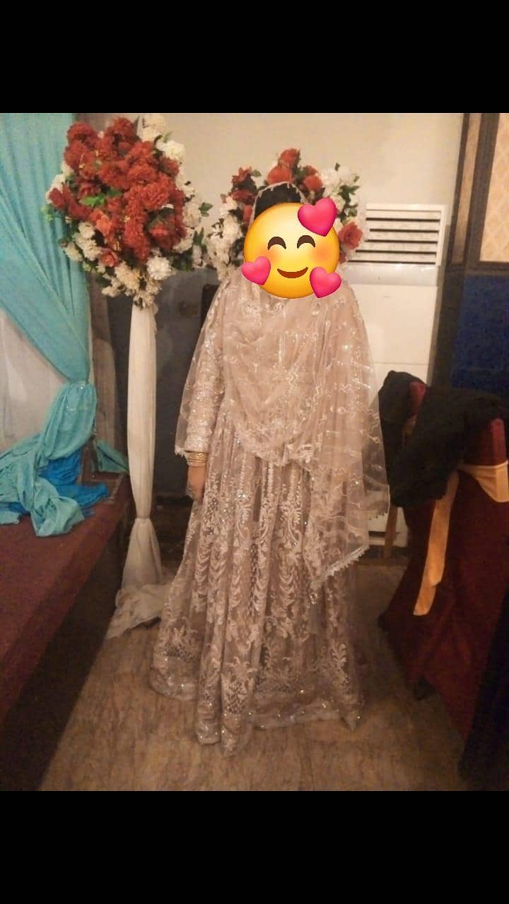 net maxi 1