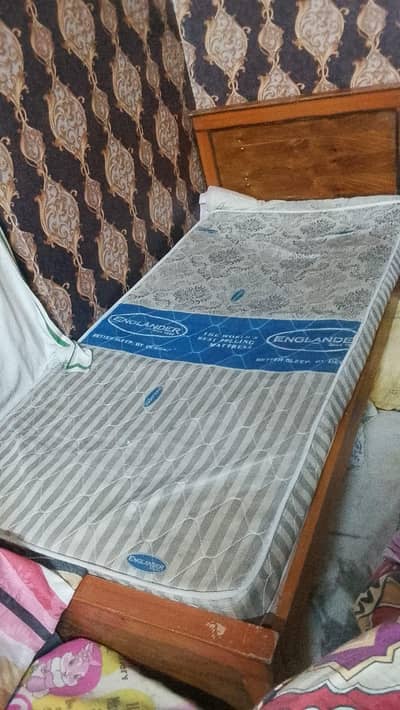 singal bed