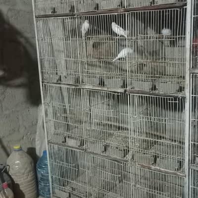 cages for pets and animal