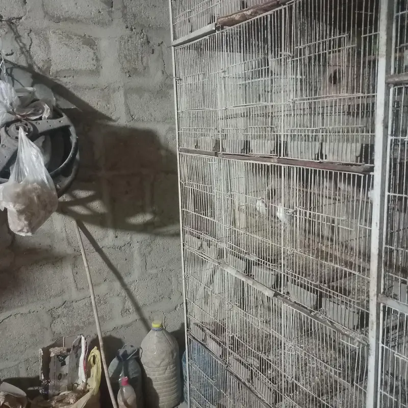 cages for pets and animal — photo 2