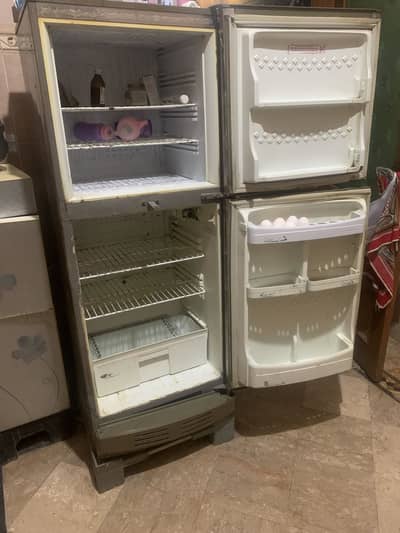 PEL fridge