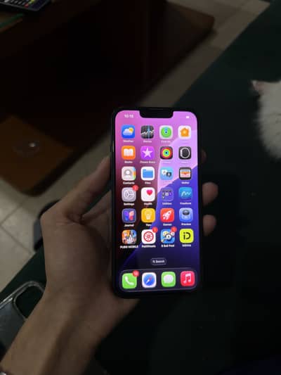 iPhone 13 (Sealed phone)