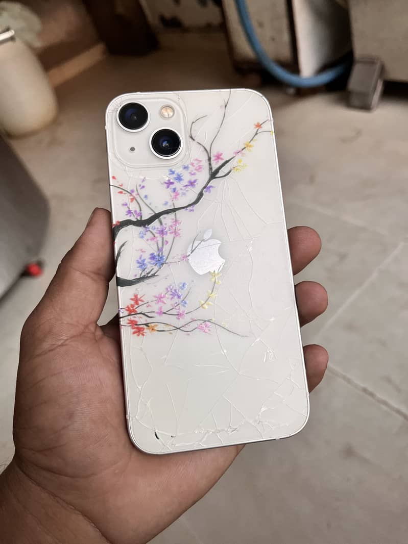 Apple iPhone 13 0