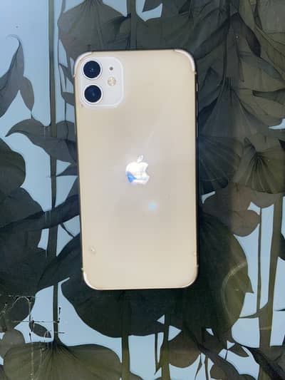 Apple iPhone 11