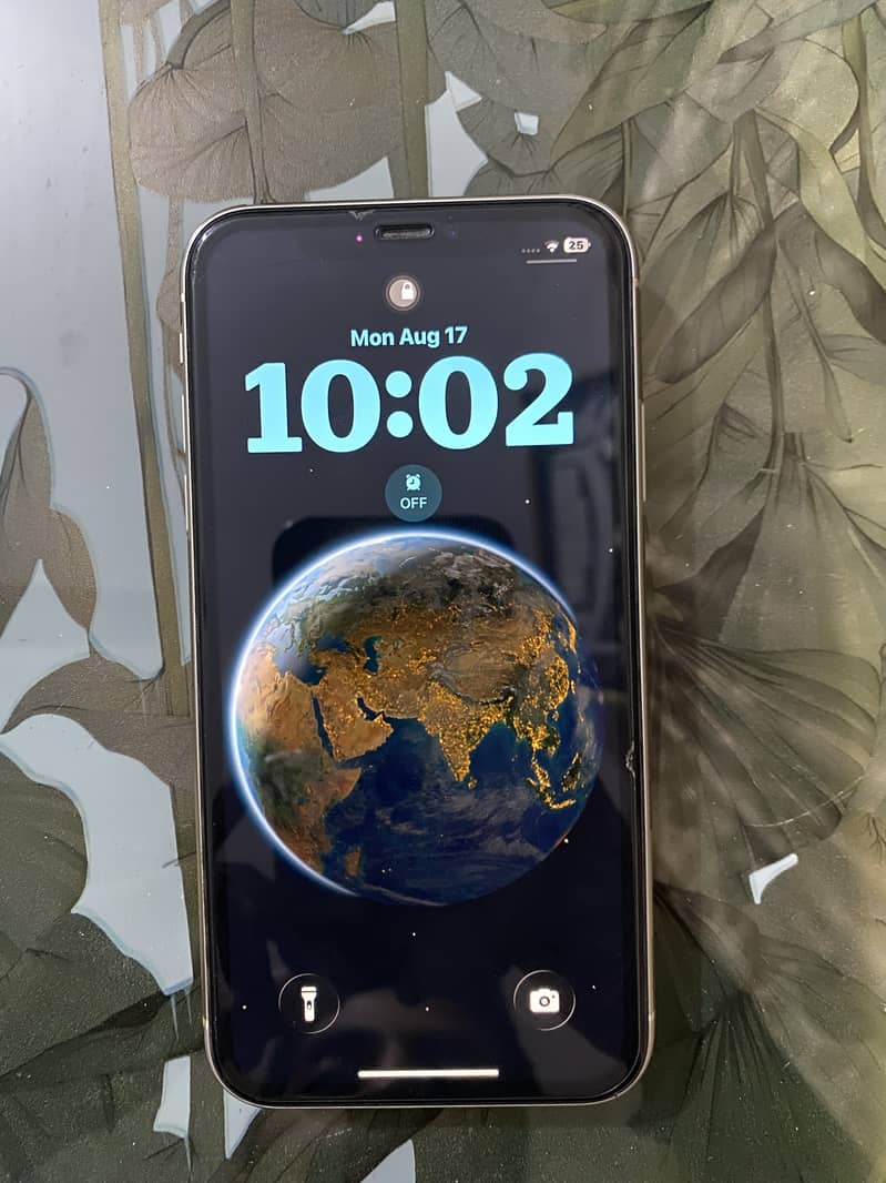 Apple iPhone 11 1