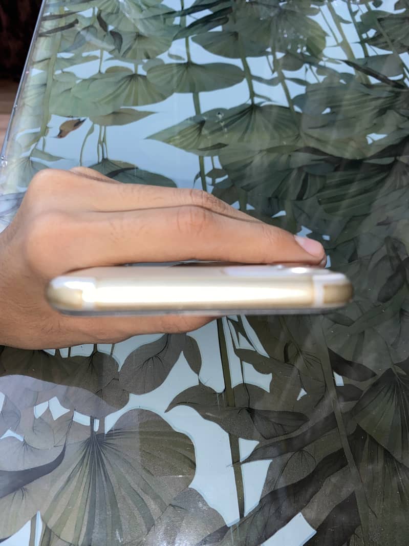Apple iPhone 11 4