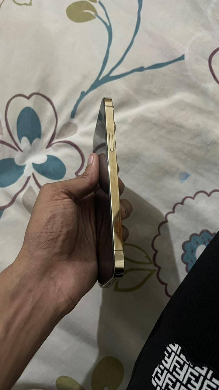IPHONE 12 PRO MAX 2