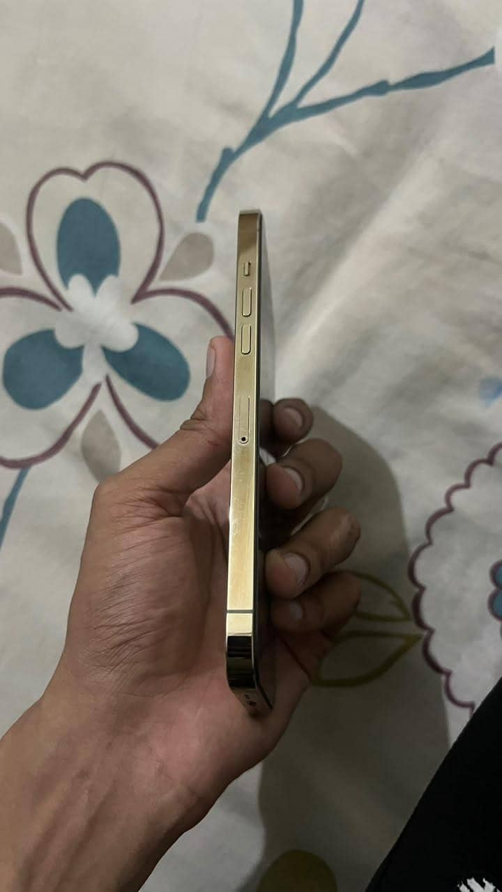 IPHONE 12 PRO MAX 4