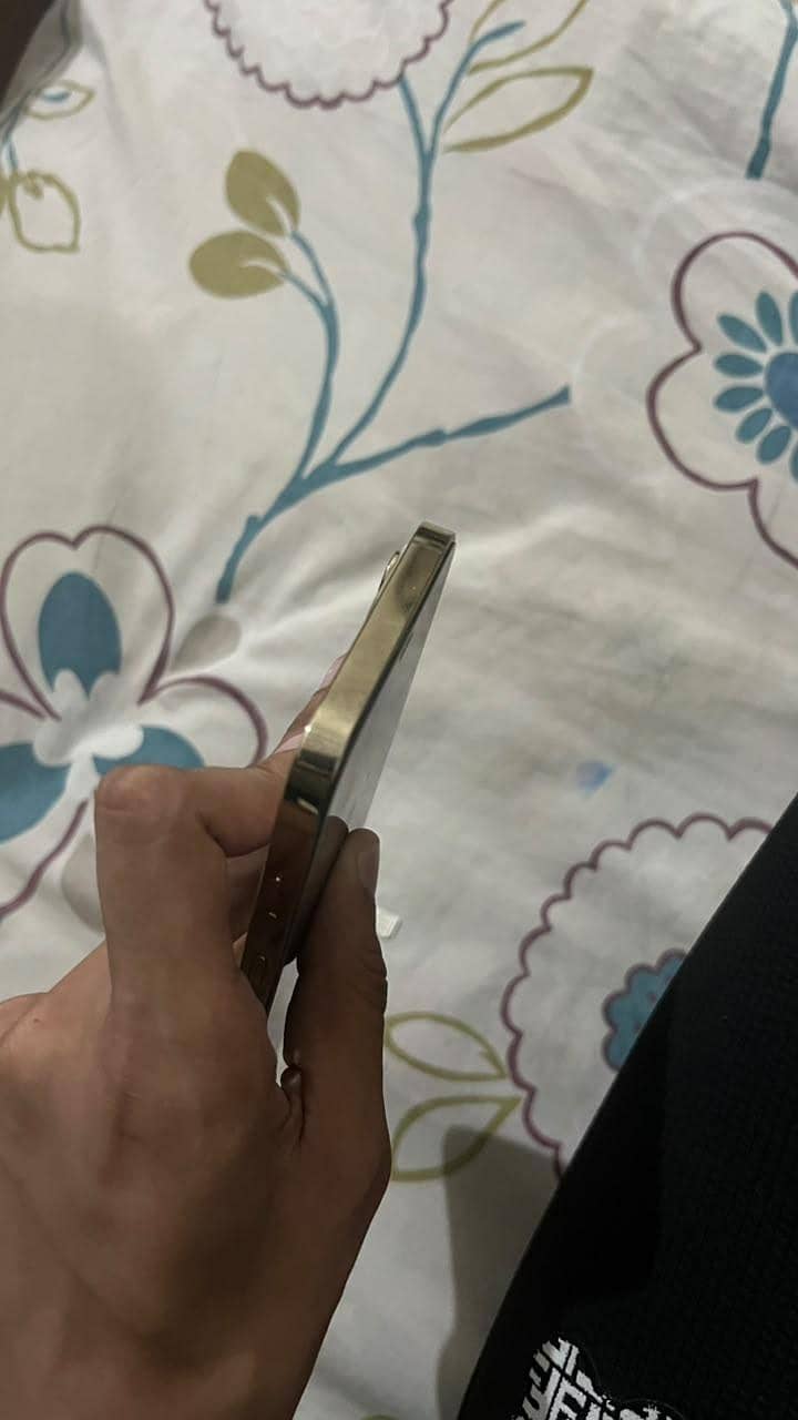 IPHONE 12 PRO MAX 5