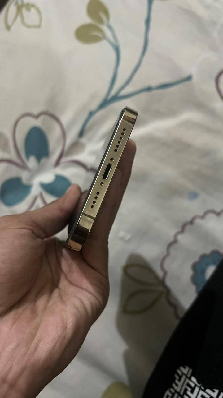 IPHONE 12 PRO MAX 6