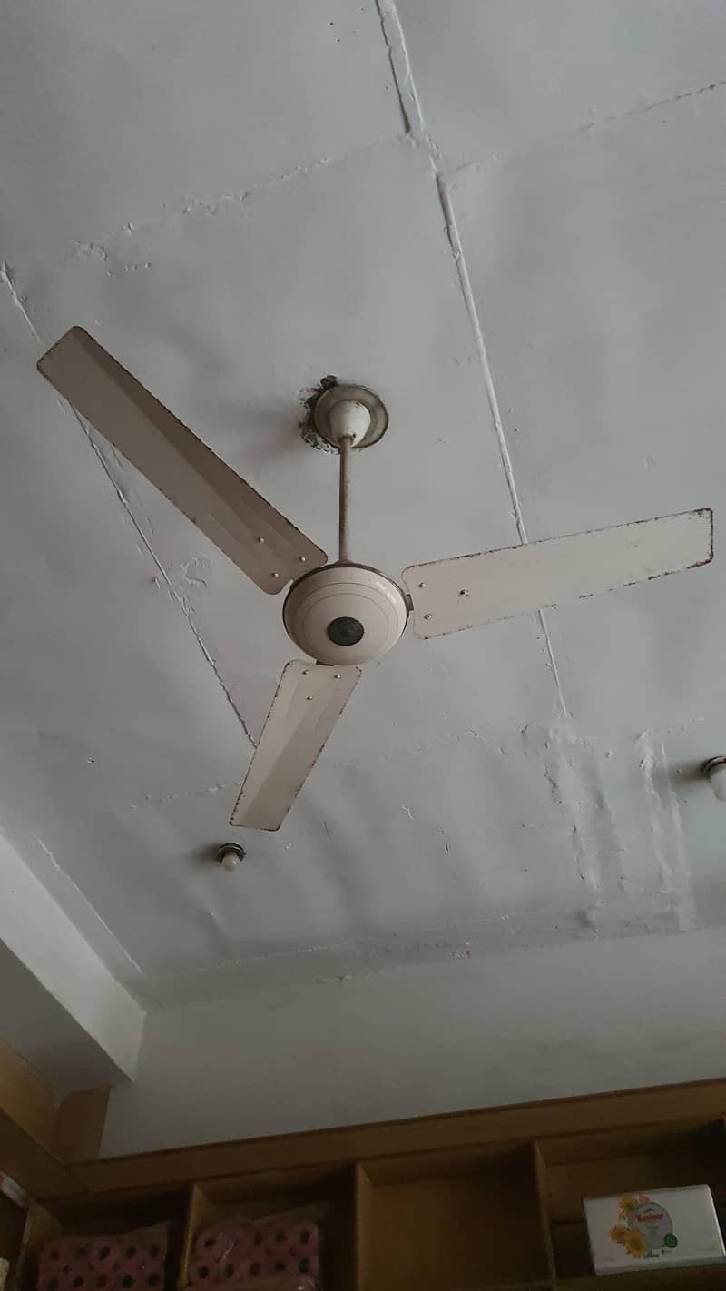 Fan's 0