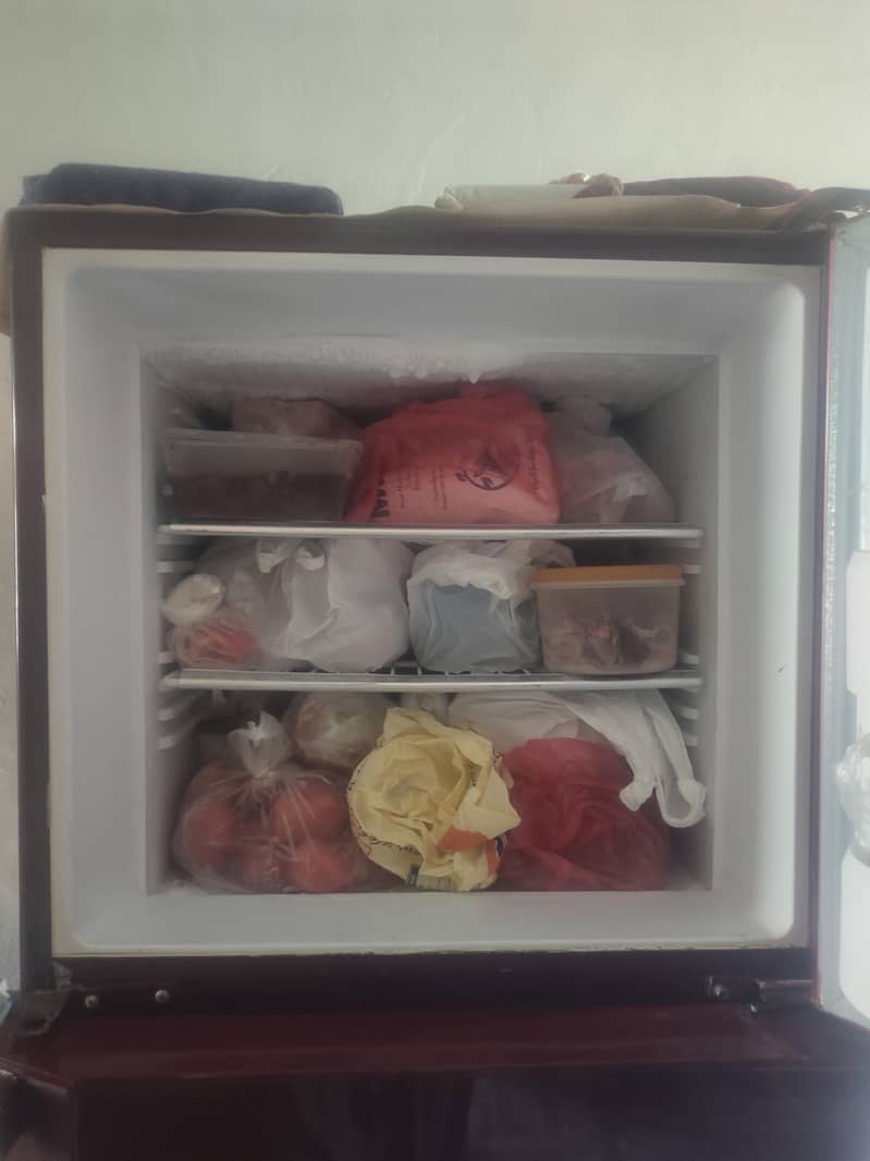 Orient Refrigerators 3