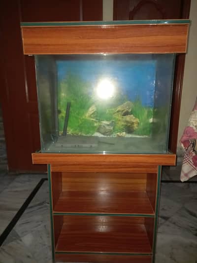 2 feet Fish Aquarium For sale. 03224271187