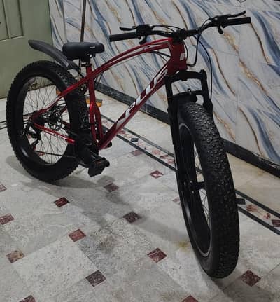 Fat Tyre cycle