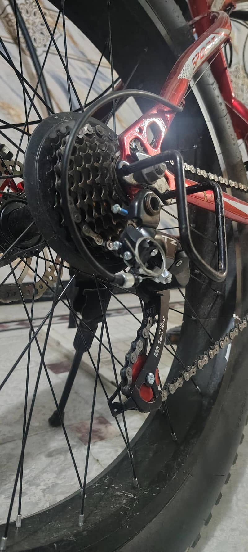 Fat Tyre cycle 3