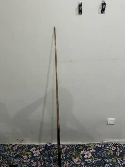 The stick thats speak