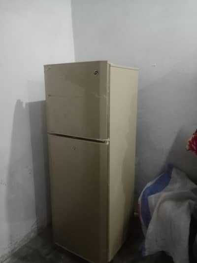 PEL fridge