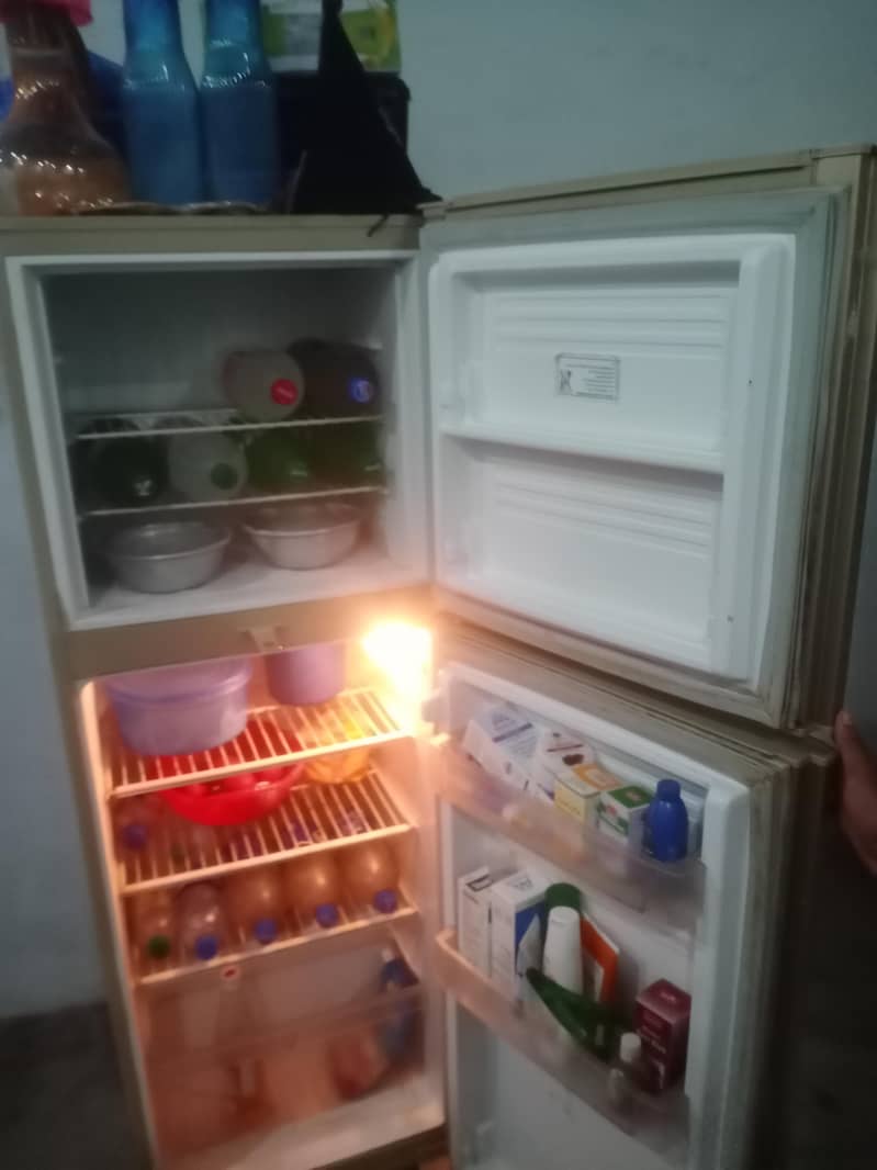 PEL fridge 1
