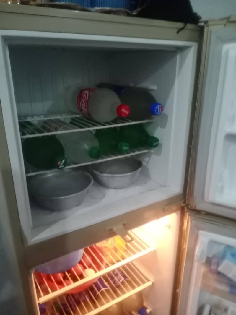 PEL fridge 2